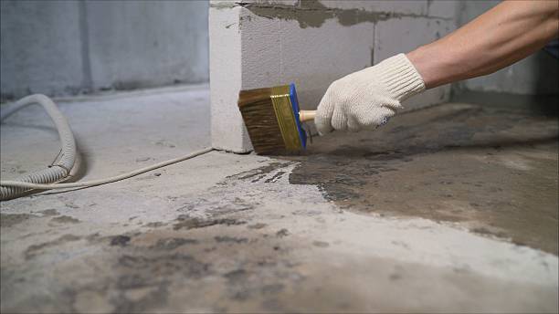 Top rated local Wet Basement Repair specialists in Milroy, IN